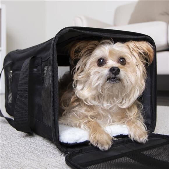 Easy Explorer Medium Guaranteed On-Board Travel Pet Carrier, Black - Picture 5 of 6